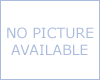 (image for) Mercedes E55 AMG 1999-2002 Splice-in 3-to-2-Wire Powered Taillight Converter